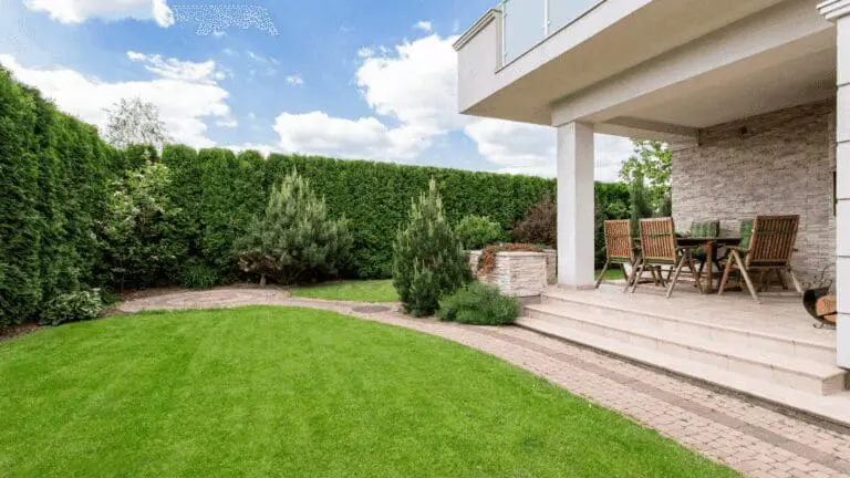 Jardin verdoyant de maison à Marseille