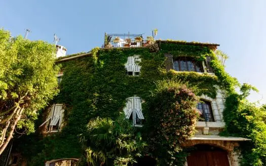 Jolie maison de ville marseillaise couverte de plantes vertes