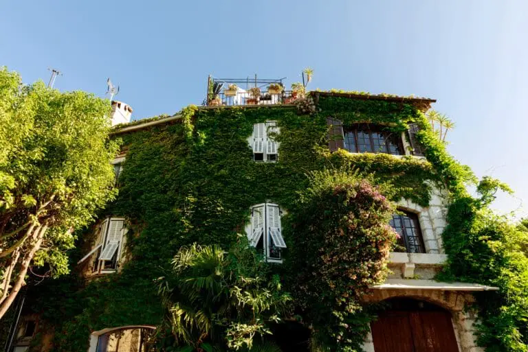Jolie maison de ville marseillaise couverte de plantes vertes